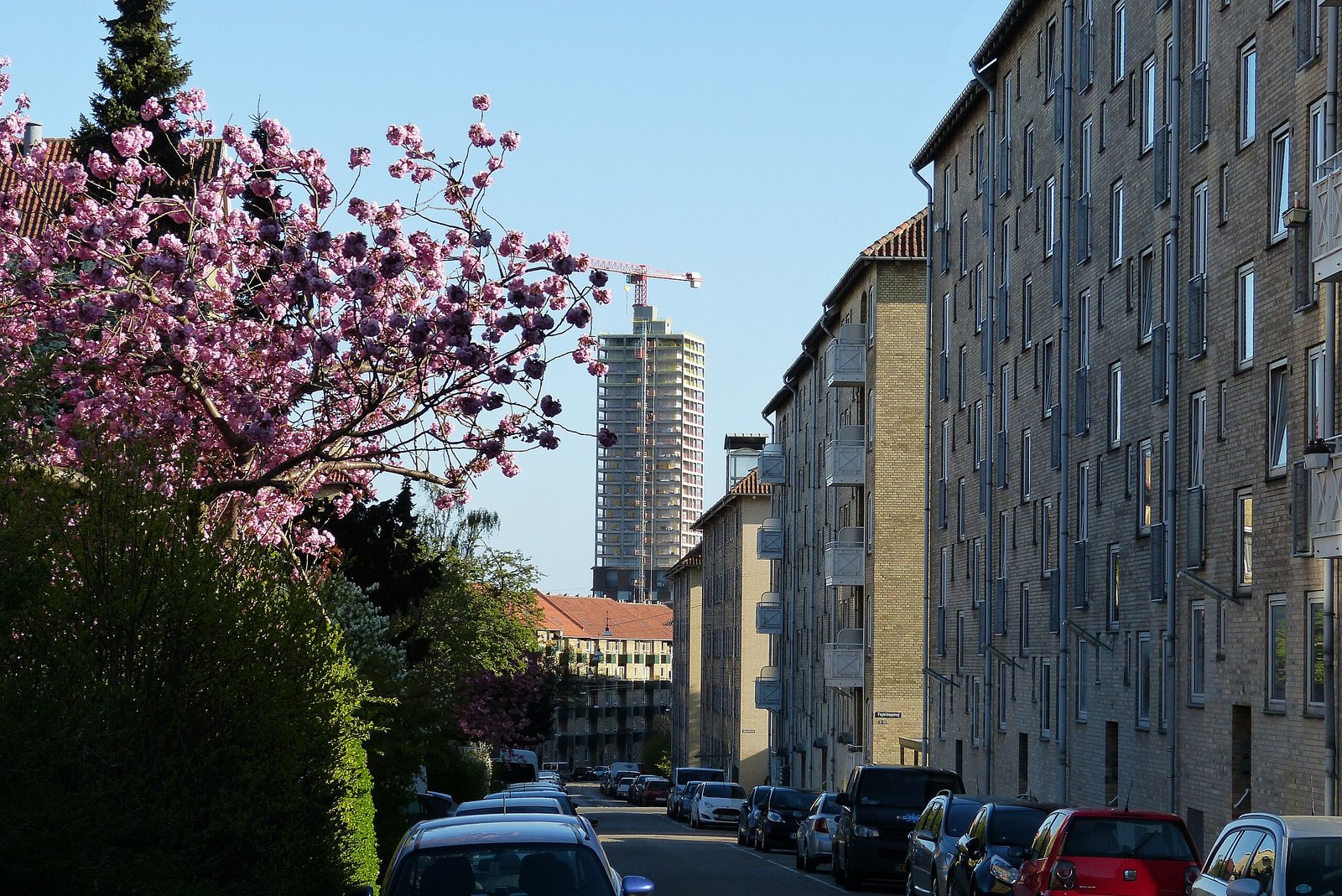 Nørrebro gade